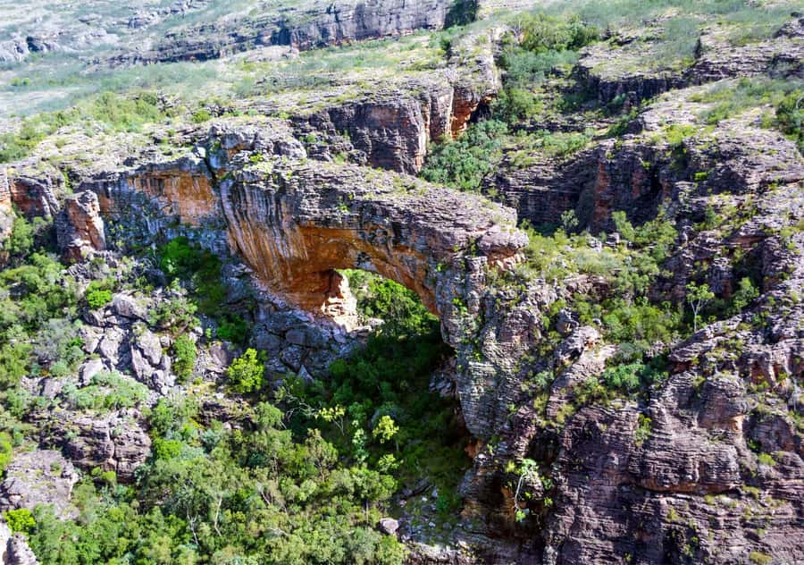 Darwin: Kakadu National Park Day Trip - Lunch at Barra Bar and Bistro