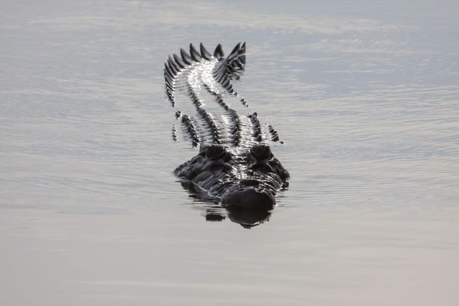 Darwin: Kakadu National Park Day Trip - Warradjan Cultural Centre puts the park in context