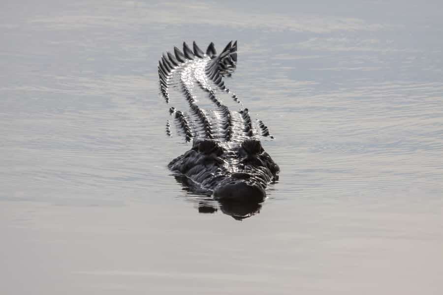 Darwin: Kakadu National Park Day Trip - Who should choose this Kakadu day trip?