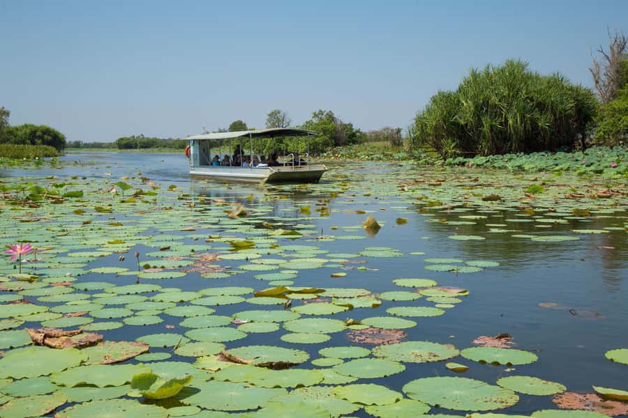 Darwin: Mary River Wetlands Wildlife Cruise with Lunch - Fogg Dam, from rice project to bird habitat