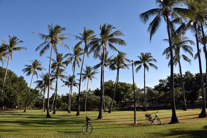 Darwin Shore Excursion: Hop-on Hop-off Bus Tour - Museum and Art Gallery of the Northern Territory
