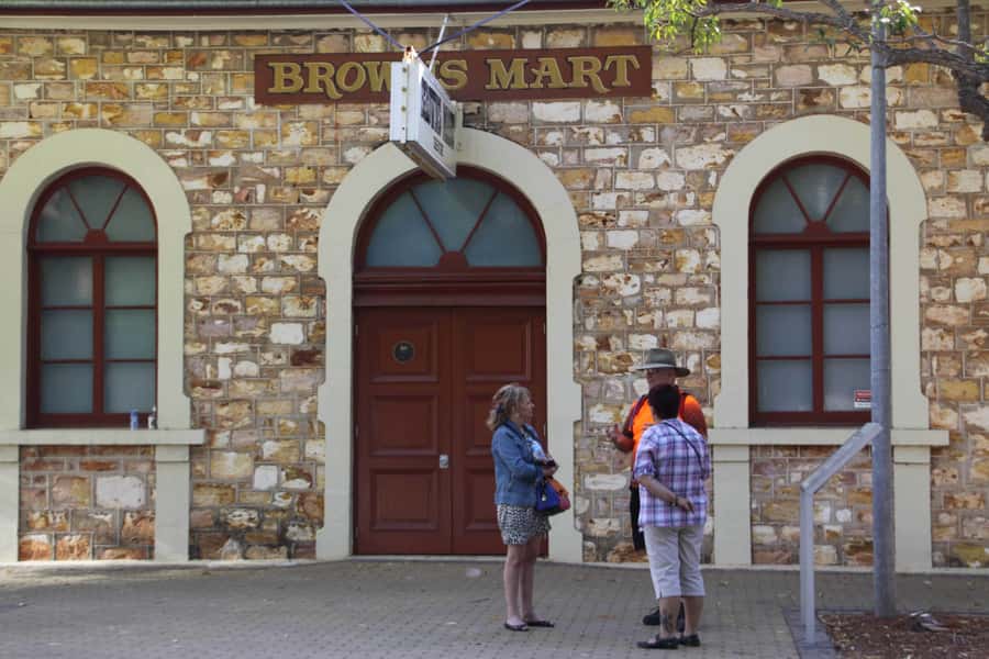Darwin: Small Group 2-Hour Heritage Walk - Starting beneath the John McDouall Stuart statue