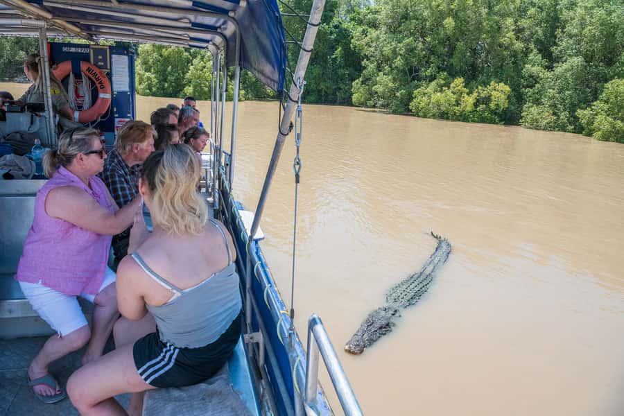 Darwin: Spectacular Jumping Crocodile Adelaide River Cruise - The hour begins on the Adelaide River