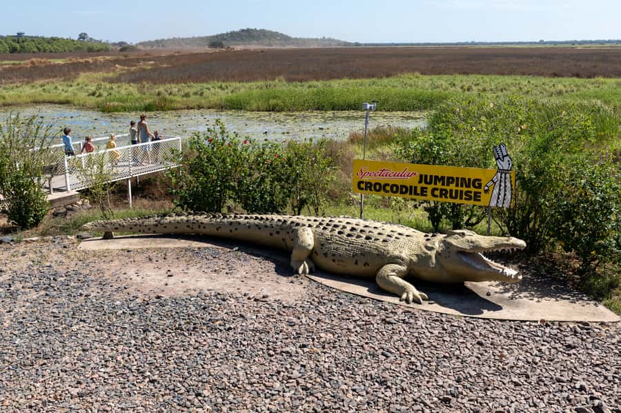 Darwin: Spectacular Jumping Crocodile Adelaide River Cruise - Is one hour enough?