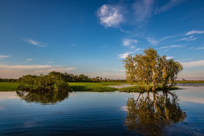 Darwin to Kakadu Day Trip by Air Including Yellow Water Cruise - The scenic flight over Kakadu