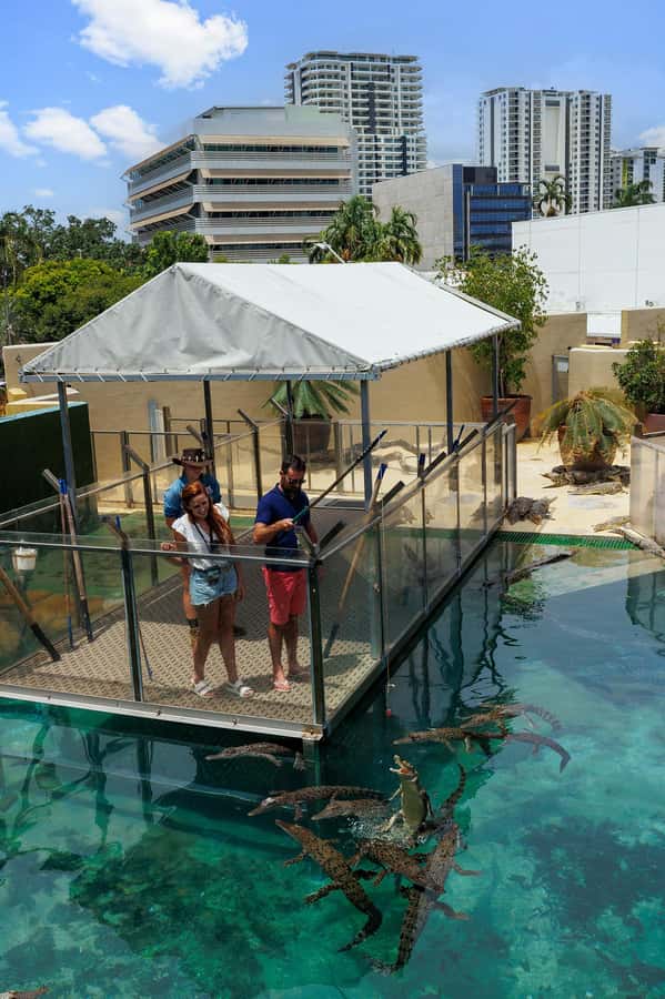 Darwin: VIP Crocosaurus Cove Experience - How to get the most from the 90 minutes