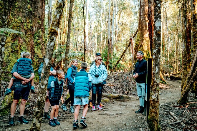 Day Tour in Mt. Field, Mt. Wellington, Bonorong Wildlife Sanctuary and Richmond - A full day beyond Hobart