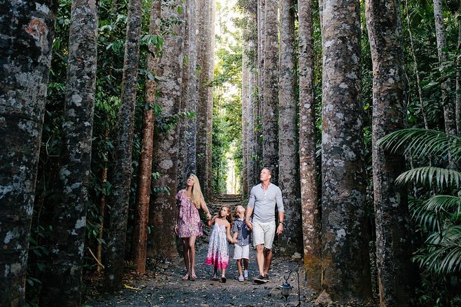 Day Tour to Paronella Park, Lake Barrine and Millaa Millaa Falls - Leaving Cairns for the Atherton Tablelands