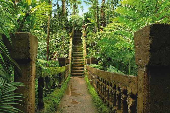 Day Tour to Paronella Park, Lake Barrine and Millaa Millaa Falls - Food, transport and the value of $157.79