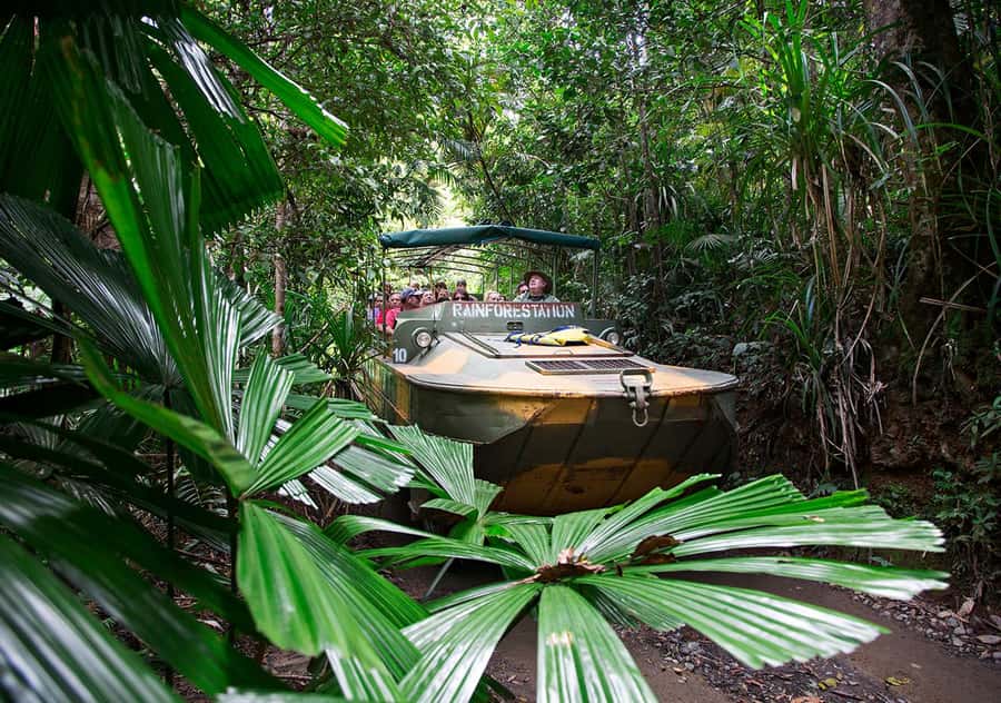 Day Trip: Rainforest & Aboriginal Culture Tour - My take: book it for variety, not solitude