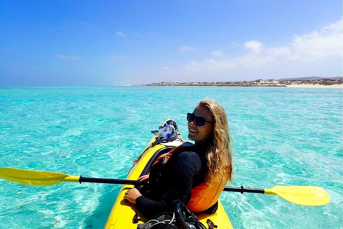 Deluxe Mega Fauna Humpback or Whaleshark Swim Ningaloo Reef - Why the best days feel so special
