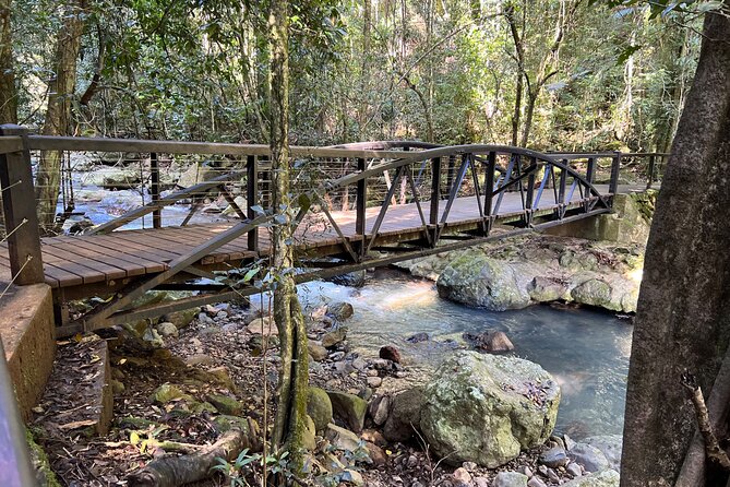 Deluxe Springbrook & Mt Tamborine Glow Worms and famous Skywalk - Gallery Walk on Mount Tamborine