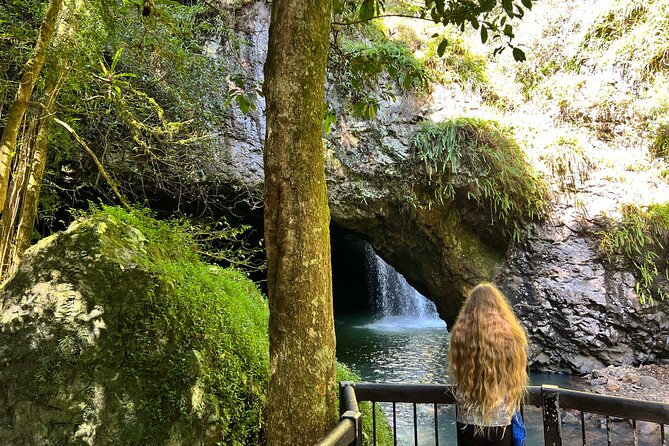 Deluxe Springbrook & Mt Tamborine Glow Worms and famous Skywalk - Robert Sowter Park and the wide hinterland views