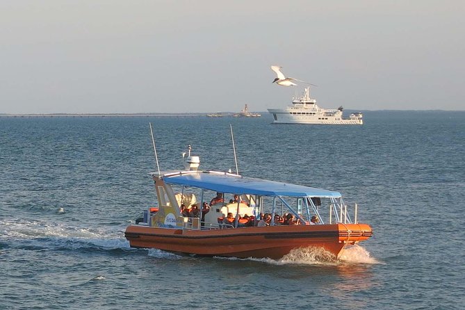 Discover Darwin Harbour 1 hour Darwin Harbour Cruise - World War II stories across the harbor