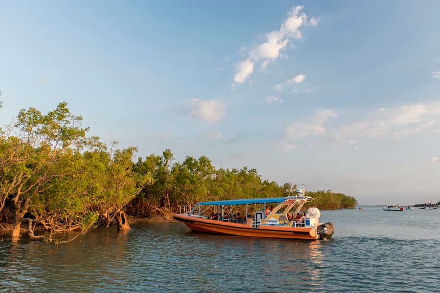 Discover Darwin Harbour: Darwin Harbour Afternoon Cruise - Key points about the Darwin Harbour cruise
