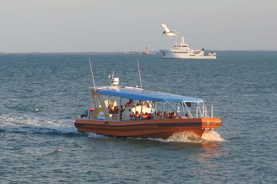Discover Darwin Harbour: Darwin Harbour Afternoon Cruise - Is $43 good value for one hour?