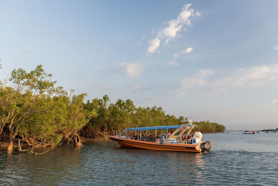 Discover Darwin Harbour: Darwin Harbour Afternoon Cruise - Weather, tides, and practical planning