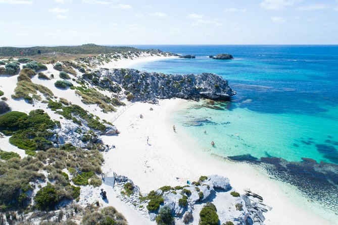 Discover Rottnest with Ferry & Bus Tour - Key points to know before you book