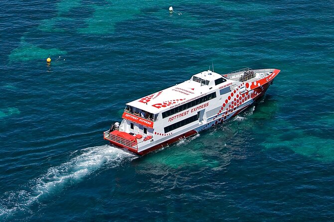 Discover Rottnest with Ferry & Bus Tour - Wildlife sightings, from quokkas to whales