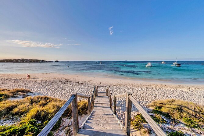 Discover Rottnest with Ferry & Bus Tour - What $102.92 buys you