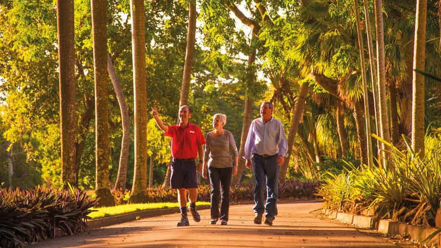 Discover the City of Darwin: Half-Day City Coach Tour - Starting with Darwin’s Botanic Gardens