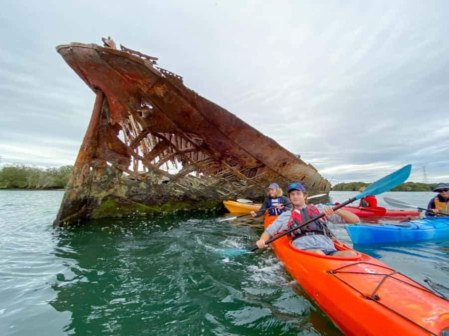 Dolphin Sanctuary and Ships Graveyard Kayak Tour - Key points to know before booking