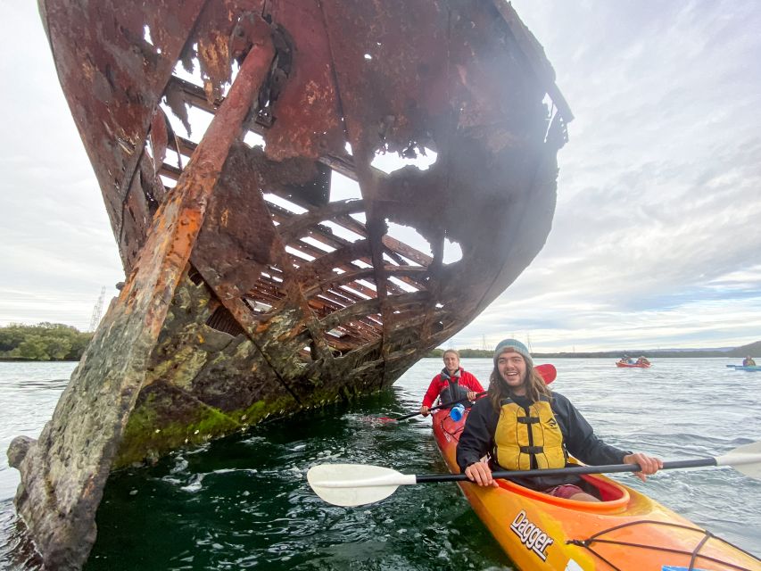 Dolphin Sanctuary and Ships Graveyard Kayak Tour - Birds, marine life, and the value of a quiet boat
