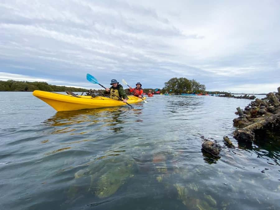 Dolphin Sanctuary and Ships Graveyard Kayak Tour - What to wear and pack for three hours