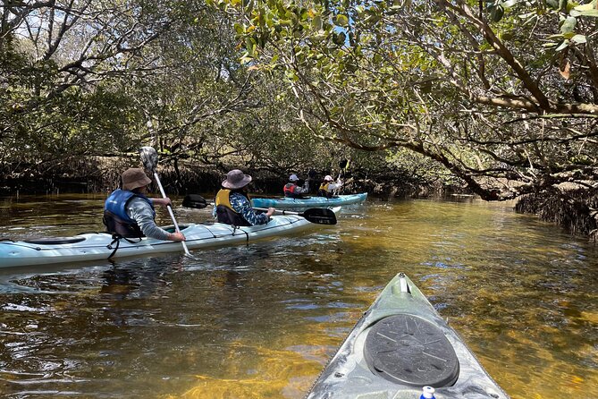 Dolphin Sanctuary Kayak Tour Adelaide - At a glance