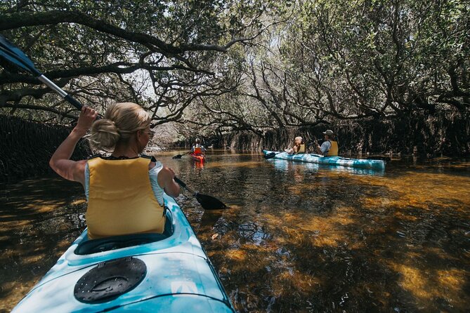 Dolphin Sanctuary Kayak Tour Adelaide - What this Adelaide kayak tour is really about