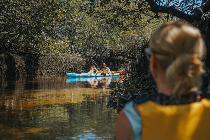 Dolphin Sanctuary Kayak Tour Adelaide - Mangroves, estuary views, and possible shipwrecks