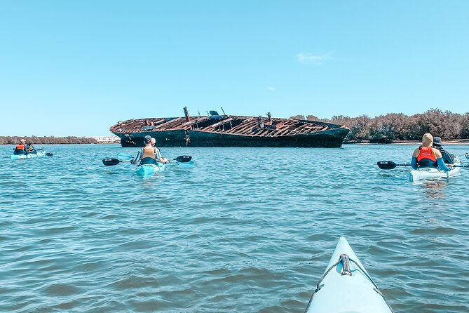 Dolphin Sanctuary Kayak Tour Adelaide - Is $56.66 good value?
