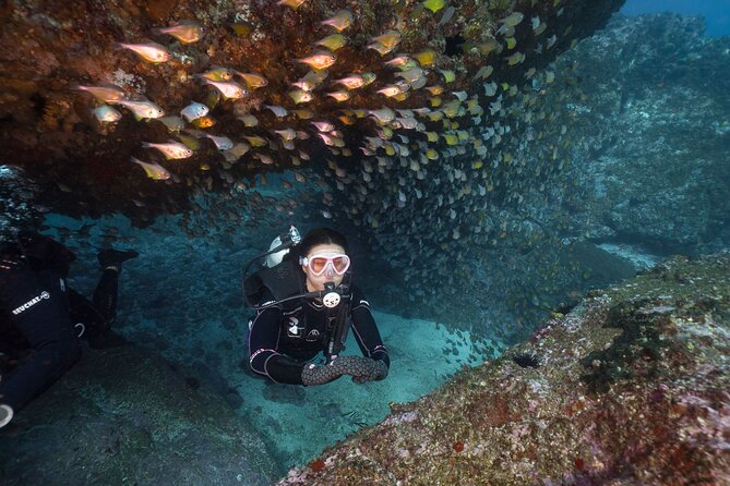 Double Dive to South Solitary Island Coffs Harbour - Key points to know before you book