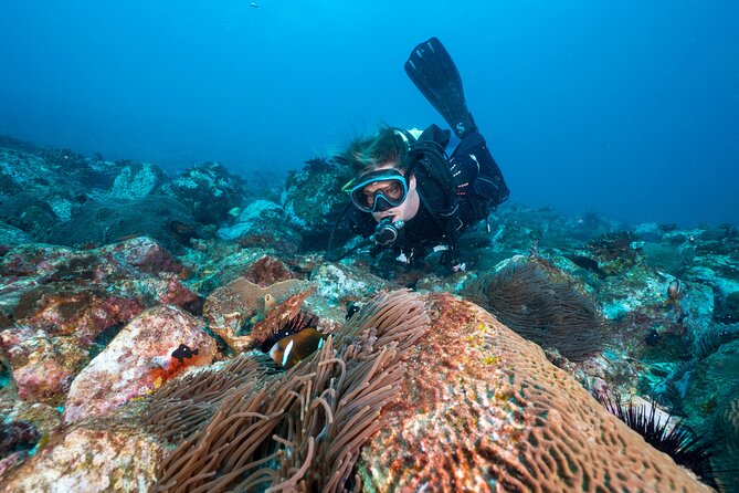 Double Dive to South Solitary Island Coffs Harbour - From the Jetty Dive Centre to open water