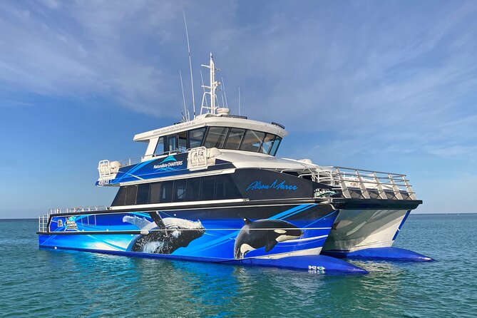 Dunsborough Whale Watching Eco Tour - Finding Humpbacks in Geographe Bay
