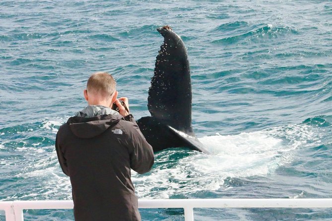 Dunsborough Whale Watching Eco Tour - What the Refreshments Really Add