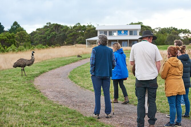 Dusk Discovery Tour - Key points to know before booking