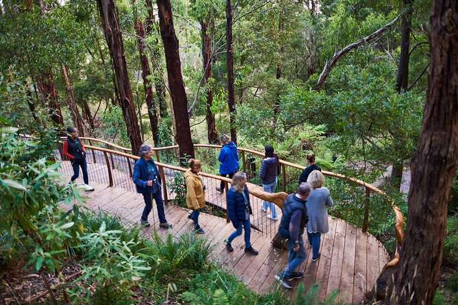 Dusk Discovery Tour - A sanctuary without cages