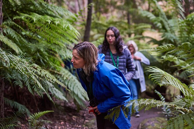 Dusk Discovery Tour - Timing, meeting point, and booking value