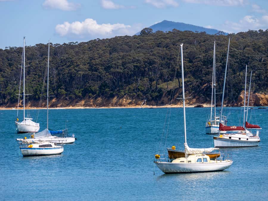 Eden: 2-Hour Highlights Tour, Nature, Beaches and Lookouts - Meeting point and cruise-day practicalities