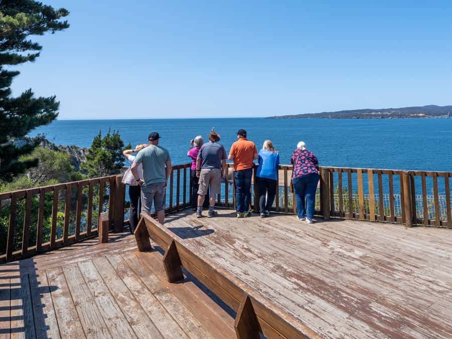 Eden: 2-Hour Highlights Tour, Nature, Beaches and Lookouts - What this short Eden tour is really designed to do