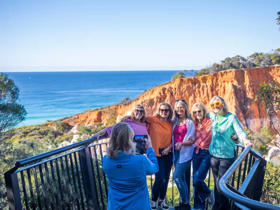 Eden: 2-Hour Highlights Tour, Nature, Beaches and Lookouts - The main scenic payoff at Pinnacles Lookout