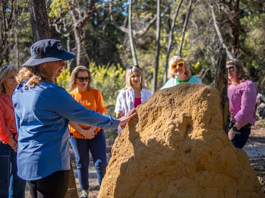 Eden: 2-Hour Highlights Tour, Nature, Beaches and Lookouts - How much can you really see in two hours?