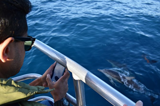 Educational Whale Watching Tour from Perth - Morning or afternoon: which departure suits you?