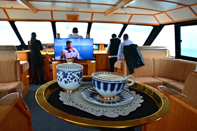 Educational Whale Watching Tour from Perth - What the $68.14 price gives you