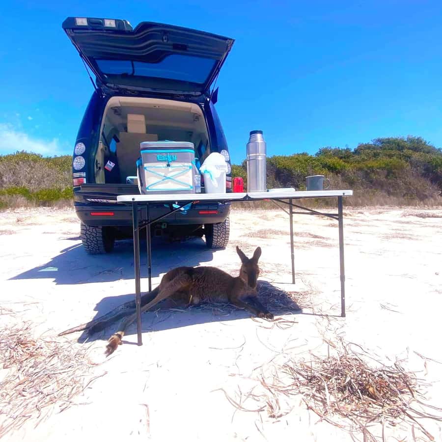 Esperance: Cape Le Grand National Park 4x4 Beach Adventure - Lucky Bay and a proper beach morning tea