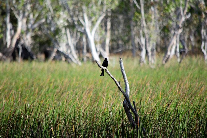 ETHICAL ADVENTURES - 1 Day premium Litchfield tour, small group - Why this Litchfield day trip feels different