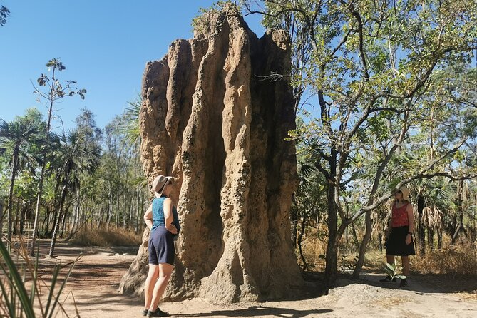 ETHICAL ADVENTURES - 1 Day premium Litchfield tour, small group - The food is more than a side note
