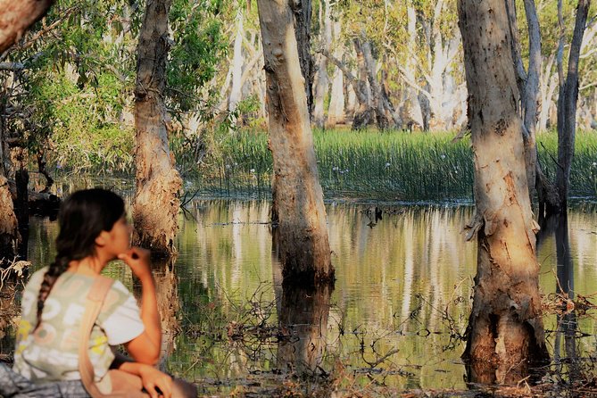 ETHICAL ADVENTURES - 1 Day premium Litchfield tour, small group - Is $204.41 good value?