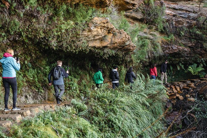 Exclusive Blue Mountains Wildlife and Bushwalk Tour From Sydney - Why this Sydney day trip works